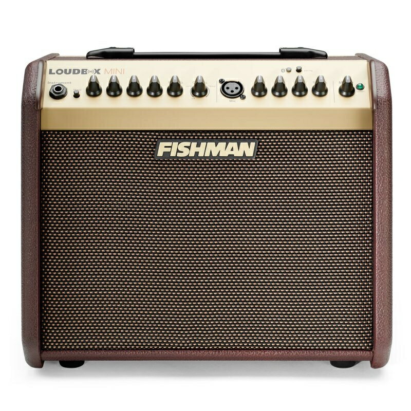 FISHMAN / LOUDBOX MINI with Bluetooth フィッシュマン アコースティックギターアンプ アコギアンプ 【未展示・未開封品】【PNG】