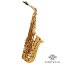 ڤоݾʡSELMER / ALTO SAX SA80 SERIE2 W/E GL Jubilee ޡ ȥå ꡼2 ӥ꡼ԽвĴա5ǯݾڡ