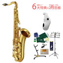 【あす楽対象商品】《全部入り6大特典+消音器イーサックス付き》 YAMAHA YTS-62 ヤマハ テナーサックス ラッカー仕上 《未展示倉庫保管》《出荷前調整》【5年保証】【YRK】