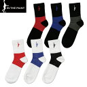 【即日発送/送料込】 IN THE PAINT インザペイント ANKLE LOCK SOCKS アンクルロックソックス インザペイントソックス インザペイント靴下 バスケットボール 靴下 ソックス バッソク バスケ用靴下 バスケソックス バスケットボールソックス メンズ レディース (ITP24326)