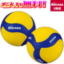 【抽選で最大100%ポイントバック!※要エントリー】【名入れ無料】 MIKASA ミカサ バレーボール 練習球 5号 V330W 名入れ加工