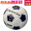 【抽選で最大100%ポイントバック!※要エントリー】【名入れ無料】 molten モルテン ペレーダ5000 芝用 5号球 中学生以上 F5K5000 スノーホ...