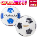 【抽選で最大100%ポイントバック!※要エントリー】【名入れ無料】 molten モルテン ペレーダ5000 土用 5号球 F5K5001 スノーホワイトパール...