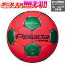 【抽選で最大100%ポイントバック!※要エントリー】【名入れ無料】 molten モルテン ペレーダ キーパートレーニング 5号球 F5K9200 蛍光オレンジ...