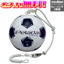 【抽選で最大100%ポイントバック!※要エントリー】【名入れ無料】 molten モルテン ペレーダ トレーニング テッサー 5号球 F5K9300 ホワイト×...