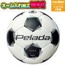 【ネーム加工!追加料金なし!!】molten モルテン ペレーダ4000フットサル 4号球 F9K4000 ホワイト×メタリックブラック