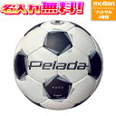 【抽選で最大100%ポイントバック!※要エントリー】【名入れ無料】 molten モルテン ペレーダ4000フットサル 4号球 F9K4000 ホワイト×メタリ...