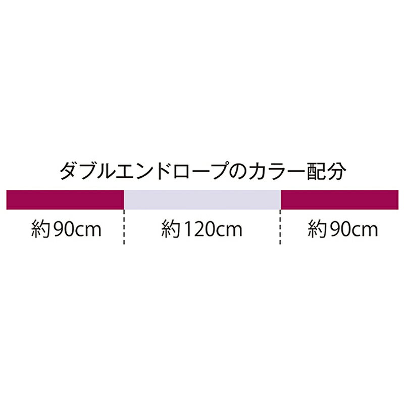 SASAKI ササキ ダブルエンドロープ 長さ3m 径1cm F.I.G.(国際体操連盟)認定品 (M-280TS-F) 新体操 体操 手具 ナイロン ロープ 大人 一般用 認定品 検定品 2