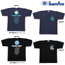 TeamFive チームファイブ Tシャツ「ザ オンリー フープ！」ブラック ネイビー (AT-9001 AT-9007) バスケ バスケット 半袖 シャツ 練習着