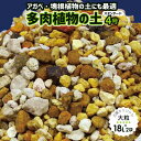 天然鉱物質100%　長期肥料付　ゼオライト倍増！更に水はけを良くした　毎日水やりをしたいエケベリア・センペルには「元祖多肉植物の土」 3号　18L×2袋 【送料無料】【戸外自然栽培用】【用土・肥料】【アガベ 塊根植物】 その1