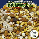 天然鉱物質100% 長期肥料付 ゼオライト倍増!更に水はけを良くした 毎日水やりをしたいエケベリア・センペルには「元祖多肉植物の土」 4号(大粒) 10L 【戸外自然栽培用】【用土・肥料】【アガベ 塊根植物】
