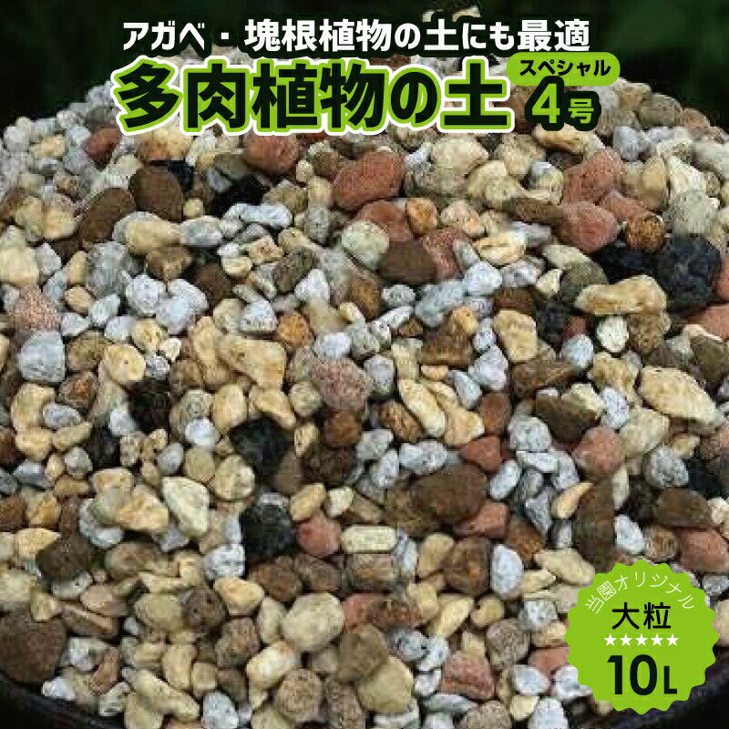 元祖多肉植物の土 スペシャル4号(大粒) 10L 弊園謹製 手練り（長期肥料付） 天然鉱物質100％ 焼赤玉土倍増！ 更に水はけを良くした毎日水やりをしたいエケベリア センペルには「多肉植物の土」【送料無料】【戸外自然栽培用】【用土 肥料 寄せ植え】【アガベ 塊根植物】