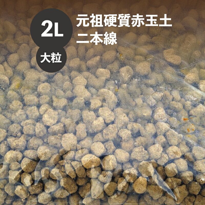 【最大50%OFFクーポン発行中！】元祖硬質赤玉土　二本線　大粒　2L　【盆栽の土・クリスマスローズの土..