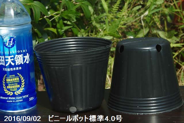 ポリポット（ビニールポット）　通気性よくネット不要の標準　4号(12cm)角4個穴　100個【植木鉢】