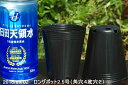 ポリポット(ビニールポット) 通気性よくネット不要のロングポット2.5号(7.5cm)角4個穴 底2個穴 100個 【クリスマスローズ用】【宿根草用】【樹木・花...