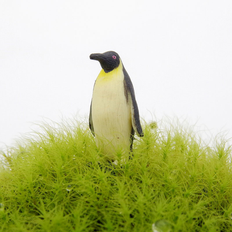 苔のフィギュア　ペンギン 【 苔盆