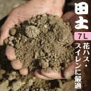 田土 　　7L（約8.5-8.8kg　ビニール袋入り）　【☆10号ポット用☆】　【水生植物の土】【花ハスの土・睡蓮の土・スイレンの土・姫スイレンの土・姫睡蓮の土・ヒメスイレンの土・姫睡蓮苗の土・花はすの土】【用土・肥料】【荒木田土・田んぼの土】