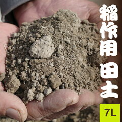 https://thumbnail.image.rakuten.co.jp/@0_mall/ishidaseikaen/cabinet/parts/itempage/soil/ina_7.jpg