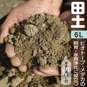 水質浄化に役立つ　ビオトープ・メダカ・睡蓮（スイレン）・水草の土　「田土」(荒木田土)　約6L+「田土すまし液1.5L」 【基本用土 園芸用土】【荒木田・田んぼの土】