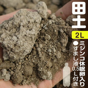 メダカ・金魚が喜ぶミジンコ休眠卵入り　「田土」　2L+「田土すまし液0.5L」【ミジンコ繁殖】 【用土・肥料】【荒木田・田んぼの土】