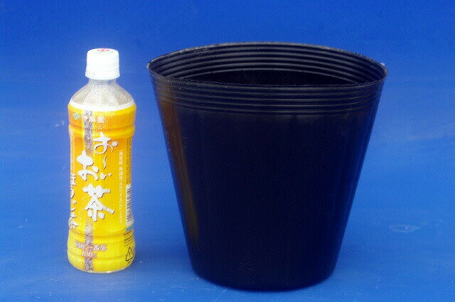 水生植物用　ロングポリポット（ビニールポット）7号深鉢(21cm)　100ポット