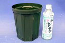 スリット鉢 6号 (18cm) ロング 10個 (CSM 180L) モスグリーン 【クリスマスローズ バラ 果樹 花木 樹木 宿根草】【植木鉢 プラ鉢 プラスチック鉢】