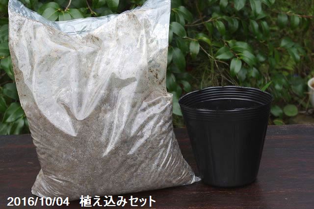 　植え込みセット　ビニールポット(穴無）5号×6個　田土5L　肥料付 