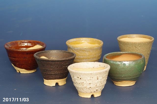 信楽焼 植木鉢 陶器 久庵窯 切高台 手びねり ロクロ引き 小鉢 2号 5-7cm 5ヶ組 【送料無料】【山野草鉢 多肉植物鉢 サボテン鉢 盆栽鉢 花木樹木苗 果樹苗 アガベ 塊根植物 珍奇植物 ビザールプ…