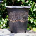 【10%OFFクーポン対象 ~7/26】信楽焼 植木鉢 陶器 縁付 手びねり(ロクロ引き) 金彩ビードロ深鉢 5号 【山野草鉢 多肉植物鉢 盆栽鉢】