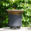 【10%OFFクーポン対象 ~7/26】信楽焼 植木鉢 陶器 選べる 金彩上下掛分けソリ深型 三ツ足 4.5号 サナサービス 【山野草鉢 多肉植物鉢 サボテン鉢 盆栽鉢 花木樹木苗 果樹苗 アガベ 塊根植物 珍奇植物 ビザールプランツ 蘭ラン科植物 観葉植物】