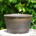 【10%OFFクーポン対象 ~7/26】信楽焼 植木鉢 陶器 選べる 手びねり(ロクロ引き) 金彩 中深鉢 5号(外径15~16.0cm 高さ9~9.5cm)サナサービス 【山野草鉢 多肉植物鉢 サボテン鉢 盆栽鉢 果樹苗 アガベ 塊根植物】