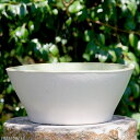 信楽焼 睡蓮鉢 手づくり 白マット ソリ浅水鉢 10号(外径29.5cm 高さ12cm) + 水草(ガガブタ浮葉、キンギョモ) +メダカ3匹(死着保障なし)プレ...