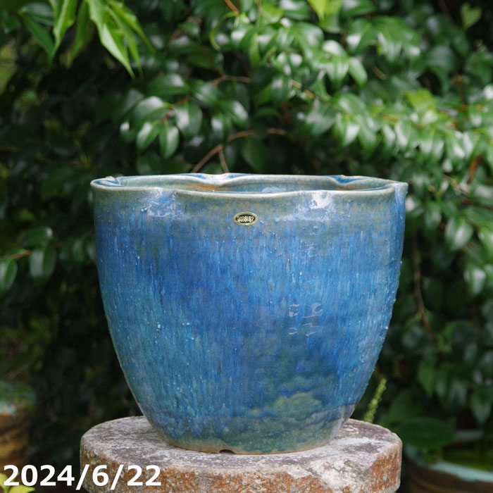 楽天市場】ブルー 青(種類(植木鉢)盆栽鉢)(花・ガーデン 楽天市場】ブルー 青(種類(植木鉢)盆栽鉢)(花・ガーデン