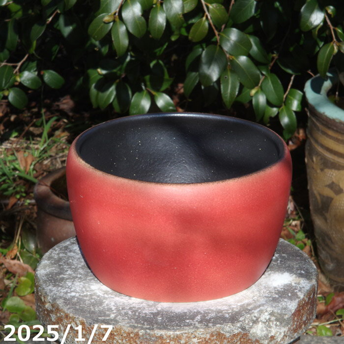 楽天市場】茶碗(カラーオレンジ)(花・ガーデン・DIY)の通販 楽天市場】茶碗(カラーオレンジ)(花・ガーデン・DIY)の通販