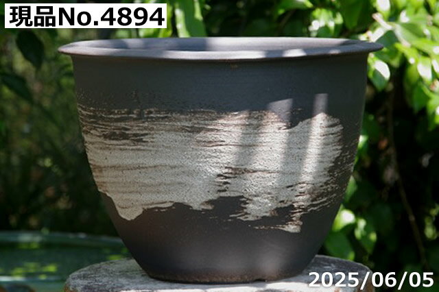 盆栽鉢 植木鉢 秀峰 大鉢 大型 盆栽鉢 植木鉢 秀峰 大鉢 大型 楽天市場】植木鉢 大型(種類