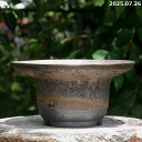 信楽焼 植木鉢 手びねり(ロクロ引き) 選べる 金彩ビードロ(薄端) 7号 サナサービス 【山野草鉢 多肉植物鉢 サボテン鉢 盆栽鉢 果樹苗 アガベ 塊根植物】