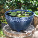 信楽焼 睡蓮鉢 陶器 青窯変足付 水鉢 10号(外径29cm) +お好きな水草 +メダカ5匹(死着保証無)プレゼント 【送料無料】【セット 水鉢 メダカ鉢 蓮鉢...
