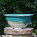 【現品・一点物No.5869】信楽焼 植木鉢 手びねり(ロクロ引き) 伝統工芸士藤原純作 上下掛分け 藤原ブルー中深鉢10号 大型 サナサービス【山野草鉢 多...