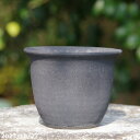 【10%OFFクーポン対象 ~7/26】信楽焼 植木鉢 陶器 高級な黒土使用 選べる 黒彩ビードロ 丸4号 サナサービス【山野草鉢 多肉植物鉢 サボテン鉢 盆栽鉢 花木樹木苗 果樹苗 アガベ 塊根植物 珍奇植物 ビザールプランツ 蘭ラン科植物 観葉植物】
