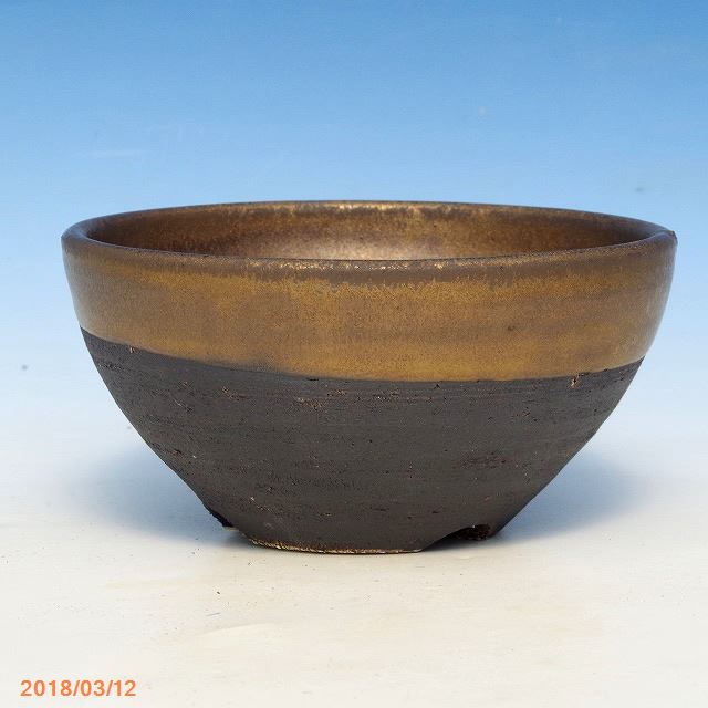 信楽焼 植木鉢 陶器　手びねり(ロクロ引き) 金彩浅鉢 3.5号（外径11cm 高さ5cm）【山野草鉢 多肉植物鉢 サボテン鉢 盆栽鉢 花木樹木苗　果樹苗　アガベ　塊根植物　珍奇植物　ビザールプランツ　蘭ラン科植物 観葉植物】 _u39