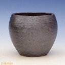 【10%OFFクーポン対象 ~7/11】信楽焼 植木鉢 陶器 ターボポット(5)黒マット 3.5号(外径10.0cm 高さ10.5cm)サナサービス【山野草鉢 多肉植物鉢 サボテン鉢 盆栽鉢 果樹苗 アガベ 塊根植物】