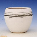 【10%OFFクーポン対象 ~7/11】信楽焼 植木鉢 陶器 選べる ターボポット(3) 黒刷毛目 3.5号(外径10.0cm 高さ10.5cm)サナサービス【山野草鉢 多肉植物鉢 サボテン鉢 盆栽鉢 果樹苗 アガベ 塊根植物】