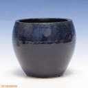 【10%OFFクーポン対象 ~7/11】信楽焼 植木鉢 陶器 選べる ターボポット(10) 群青色 3.5号(外径10.0cm 高さ10.5cm) サナサービス【山野草鉢 多肉植物鉢 サボテン鉢 盆栽鉢 果樹苗 アガベ 塊根植物】