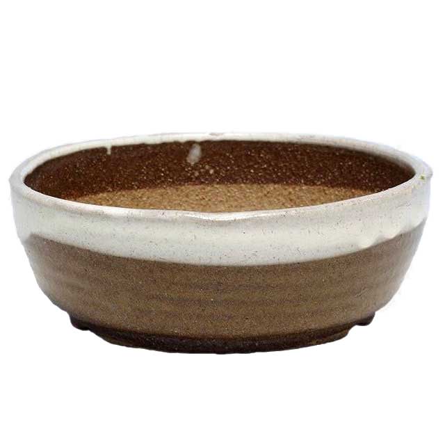 信楽焼 植木鉢　白釉ひねり浅鉢 6号（外径17cm 高さ6cm）【山野草鉢 多肉植物鉢 サボテン鉢 盆栽鉢 花木樹木苗 果樹苗 アガベ 塊根植物 珍奇植物 ビザールプランツ 蘭ラン科植物 観葉植物】