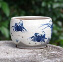 【クーポン発行中!〜11/27】信楽焼 植木鉢 陶器 手びねり(ロクロ引き) 粉引絵付(カニ) 3.5号(外径11.5cm 高さ8cm)【山野草鉢 多肉植物鉢 ...