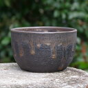 信楽焼 植木鉢 陶器 選べる 金彩ビードロ尻丸 5号(外径14.5cm 高さ8.8cm) サナサービス 【エビネ鉢 春蘭鉢】【山野草鉢 多肉植物鉢 サボテン鉢 盆栽鉢 果樹苗 アガベ 塊根植物】