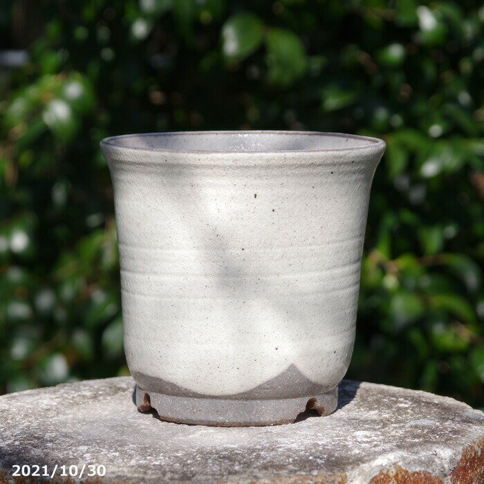 【訳あり現品】手びねり(ロクロ引き) 粉引き 大深5号（外径16cm 高さ15.5cm） サナサービス 信楽焼 植木鉢 陶器 【山野草鉢 多肉植物鉢 サボテン鉢 盆栽鉢 果樹苗 アガベ 塊根植物】