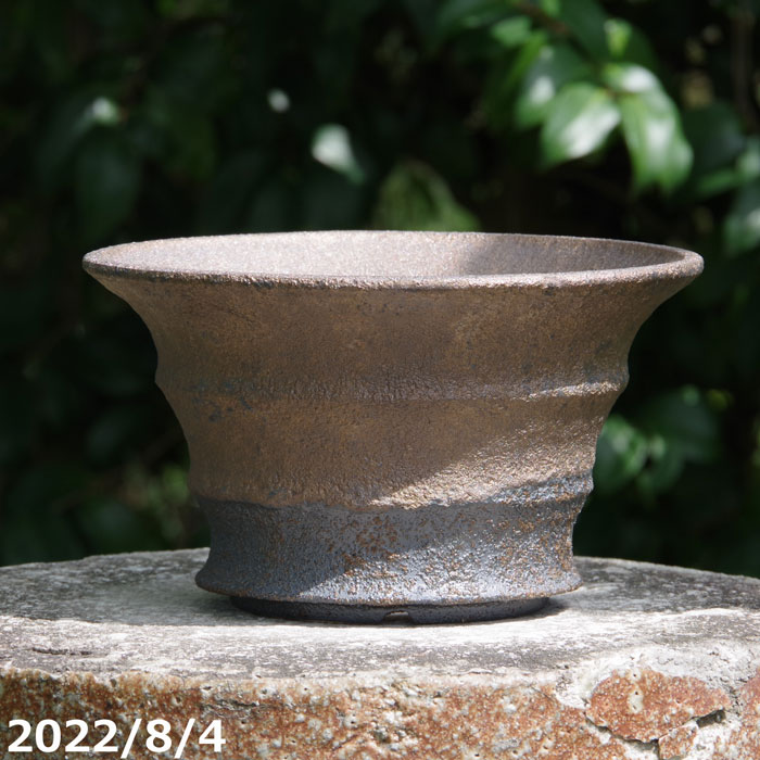 【クーポン発行中! 〜10/3】【現品・一点物No.2131】信楽焼 植木鉢 今井利幸作 金彩上下掛分 6.5号(外径16.5cm 高さ13.5cm)サナサービス【送料無料】【山野草鉢 多肉植物鉢 サボテン鉢 盆栽鉢 果樹苗 アガベ 塊根植物】_s256i