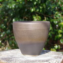 【10%OFFクーポン対象 ~7/26】信楽焼 植木鉢 陶器 選べる ターボポット 金彩マット 5.5号(外径16.5cm) サナサービス【山野草鉢 多肉植物鉢 サボテン鉢 盆栽鉢 果樹苗 アガベ 塊根植物】