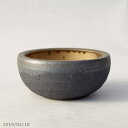 【10%OFFクーポン対象 ~7/26】信楽焼 植木鉢 陶器 金彩中深 4.5号(13.5cm)【山野草鉢 多肉植物鉢 サボテン鉢 盆栽鉢 果樹苗 アガベ 塊根植物】
